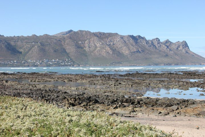 2 Bedroom Property for Sale in Greenways Golf Estate Western Cape